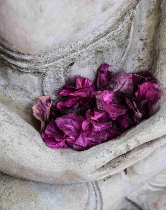 5-buddha-with-flowers 5-buddha-with-flowers