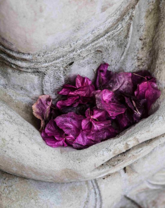 5-buddha-with-flowers 5-buddha-with-flowers